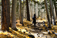 Aspen